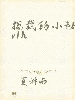 总裁的小秘书1v1h