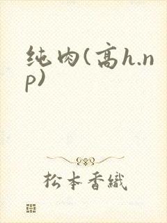 纯肉(高h.np)