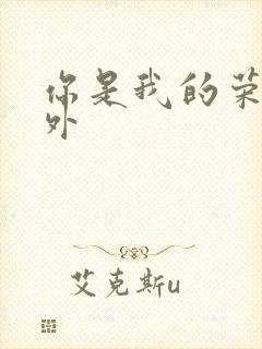 你是我的荣耀番外