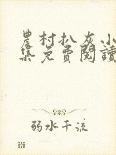 农村扒灰小说全集免费阅读