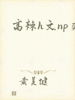 高辣h文np爽
