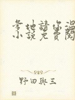 爹地请你温柔点小说免费阅读