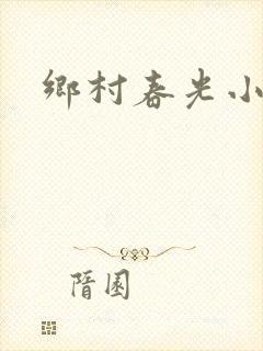 乡村春光小说