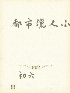 都市猎人小说