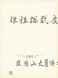 狼性总裁夜欢宠