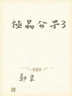极品公子3