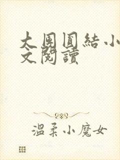大团圆结小茹全文阅读