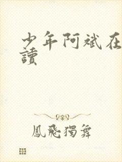 少年阿斌在线阅读