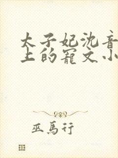 太子妃沈音和皇上的宠文小说