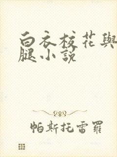 白衣校花与大长腿小说