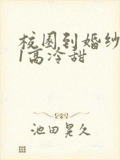 校园到婚纱1V1高冷甜