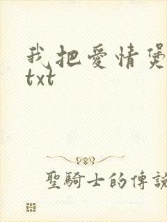 我把爱情煲成汤txt