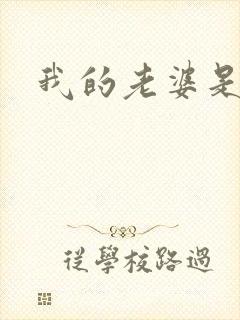 我的老婆是军阀