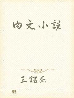肉文小说