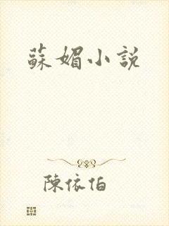 苏媚小说