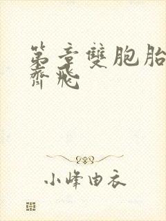 第章双胞胎姐妹齐飞