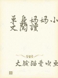 单身妈妈小说全文阅读