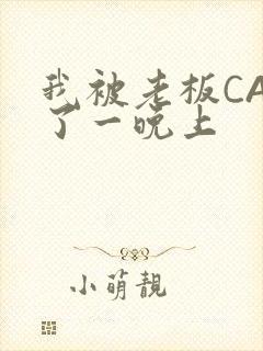 我被老板CAO了一晚上