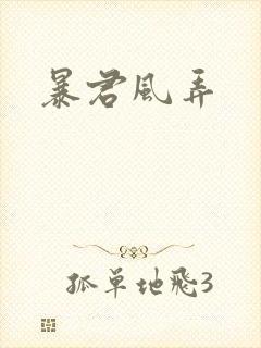暴君风弄