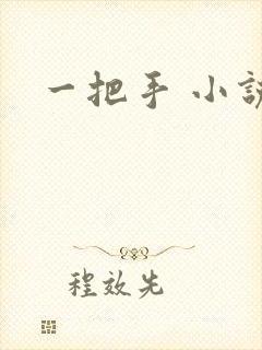一把手 小说