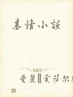 基情小说