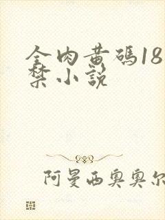 全肉黄码18无禁小说