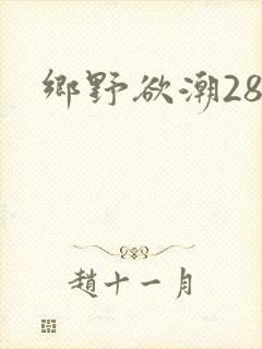 乡野欲潮28章