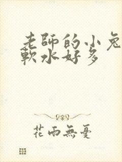 老师的小兔子好软水好多