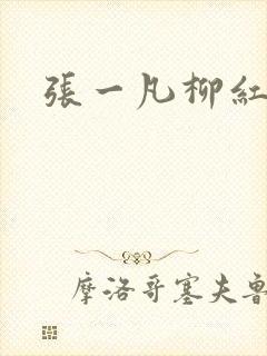 张一凡柳红