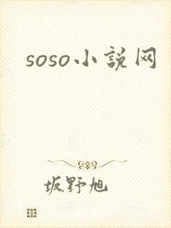 soso小说网