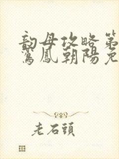 韵母攻略第二部鸾凤朝阳免费阅读