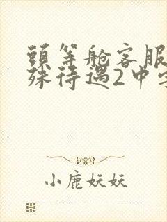 头等舱客服的特殊待遇2中字