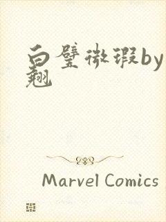 白璧微瑕by连翘