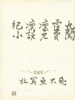 纪凛凛霍九霖的小说免费阅读在线