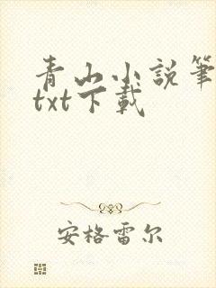 青山小说笔趣阁txt下载
