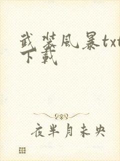 武装风暴txt下载