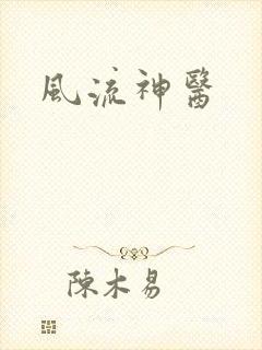 风流神医