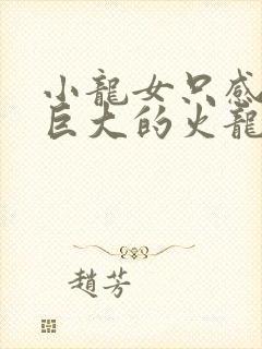 小龙女只感觉那巨大的火龙枪