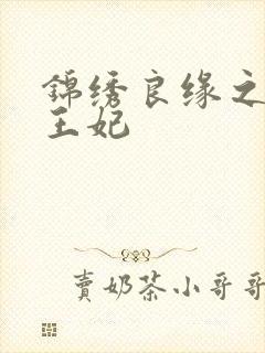 锦绣良缘之北地王妃