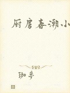 厨房春潮小说