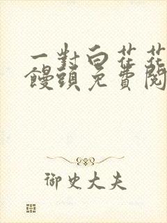 一对白花花的大馒头免费阅读