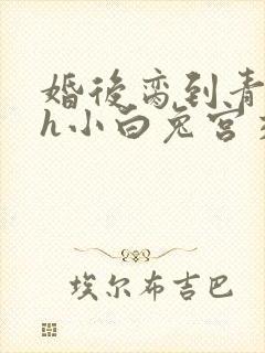 婚后脔到青梅哭h小白兔宫交h