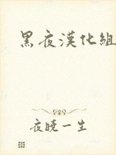 黑夜汉化组