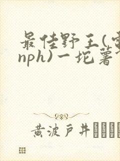 最佳野王(电竞nph)一坨薯饼