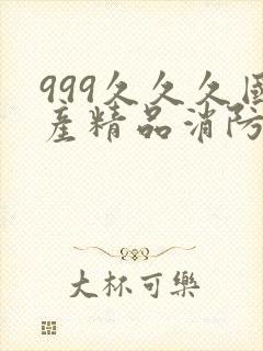 999久久久国产精品消防器材