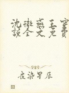 沈微燕王穿越小说全文免费阅读