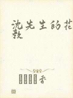 沈先生的花式管教