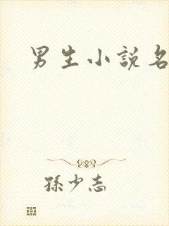 男生小说名字