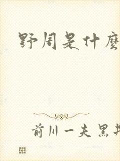 野周是什么意思