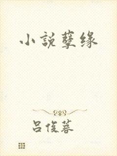 小说孽缘